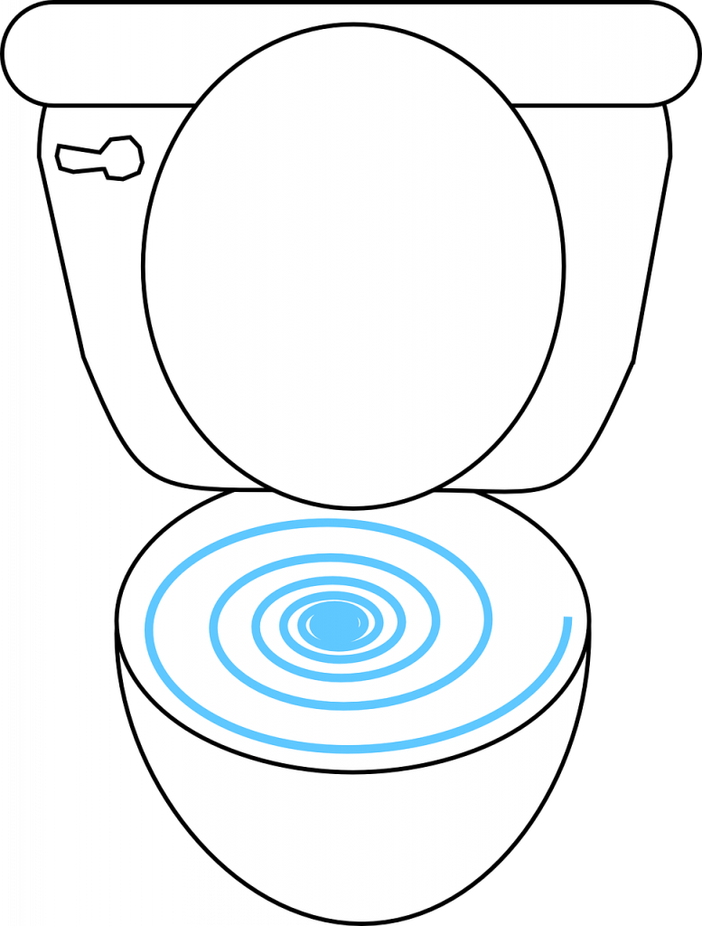 toilet, open, bowl